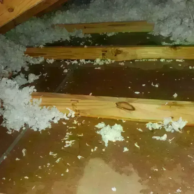 Attic Water Damage in Westbury, NY